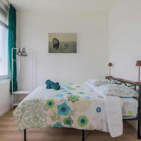 Chic émeraude Appartement *